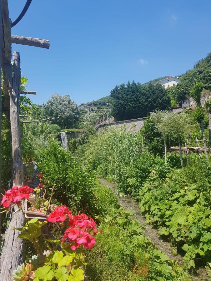 Casa Nonna Anna Βίλα Maiori Εξωτερικό φωτογραφία