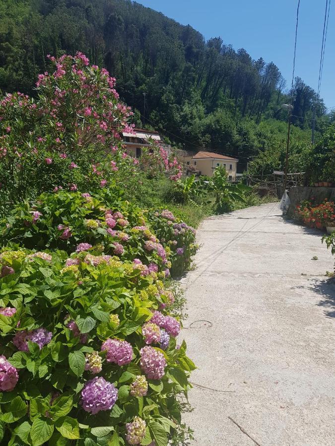 Casa Nonna Anna Βίλα Maiori Εξωτερικό φωτογραφία